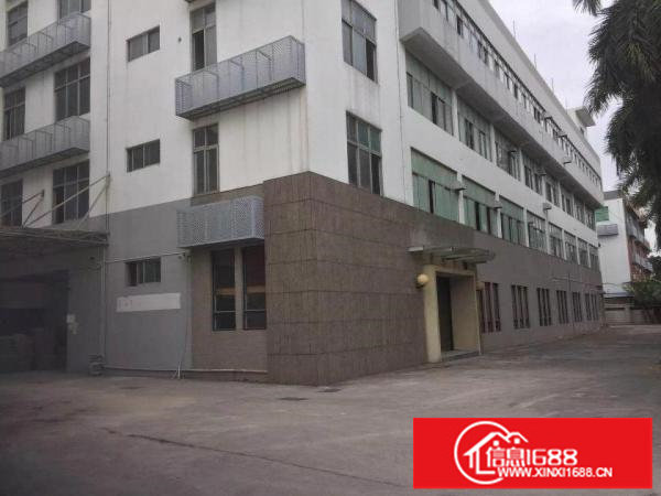 实用率高五和坂田杨美地铁口办公厂房仓库出租可分组