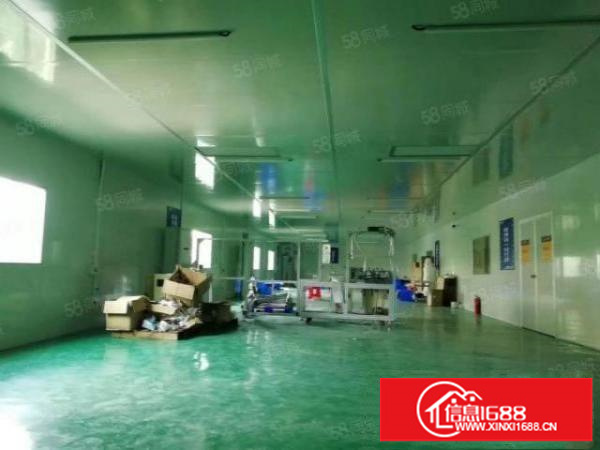 龙岗同乐新空出800平无尘车间原房东