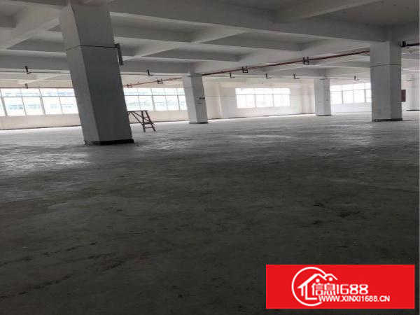 布吉康桥厂房出租1000平方原房东新出水电齐全无公摊