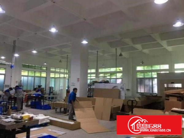 石排赤坎村原房东500方一楼出租拎包生产