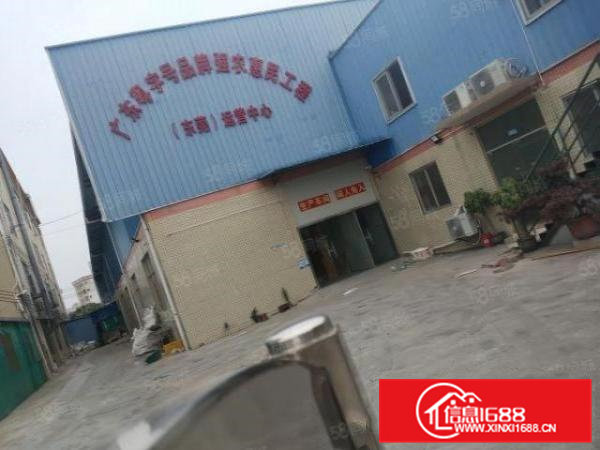 茶山南社原房东出租独院厂房1000平方租金10块面积实量