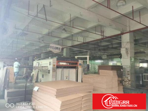 观澜福民原房东一楼标准厂房2400平出租