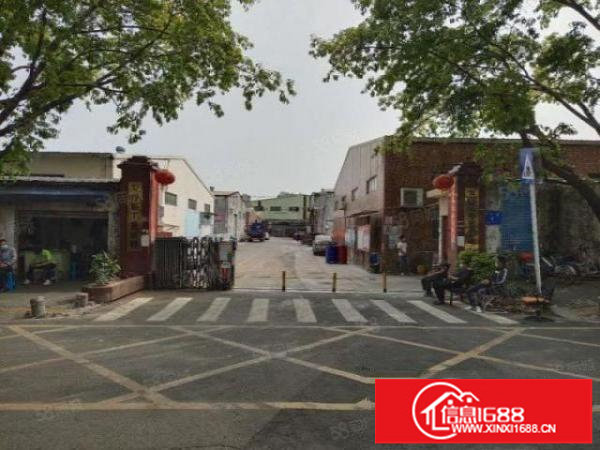 龙华大浪原房东低价一楼出租