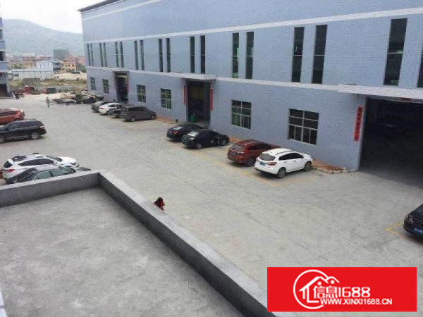 清溪镇谢坑新出10000平方7米高单一层独院厂房