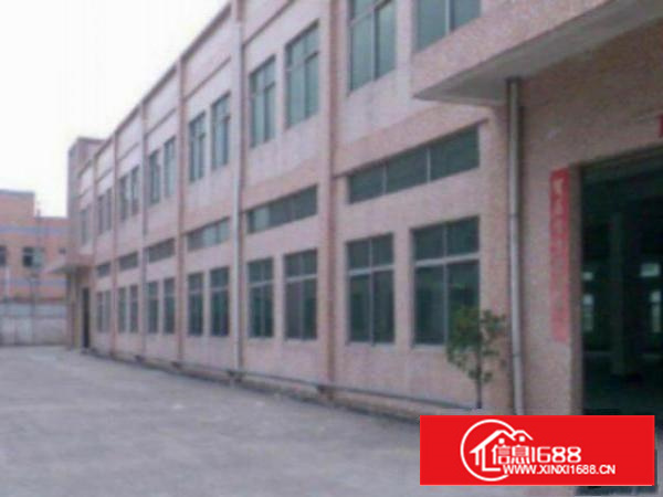 万江花园式厂房标准一楼1300平方急租