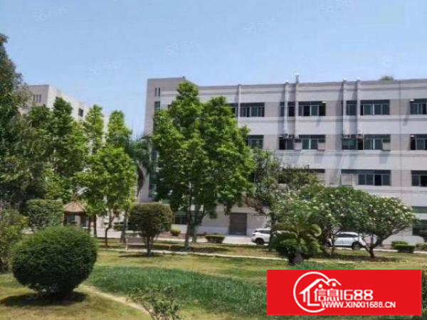 大浪英泰路口原房东一楼厂房1380平方，价格32元