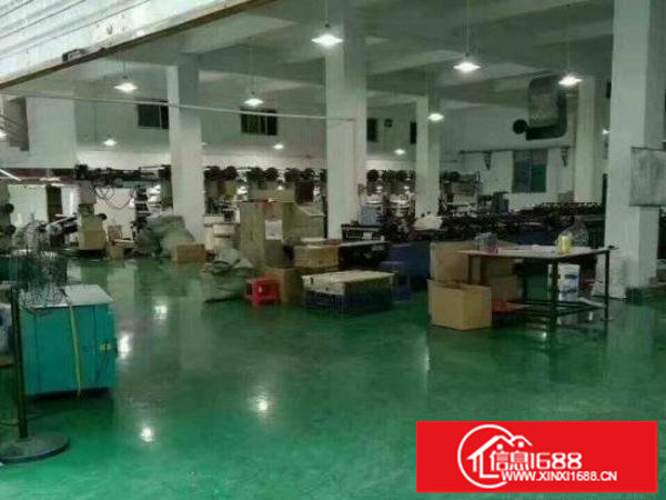 横岗安良独院带装修1000平米厂房