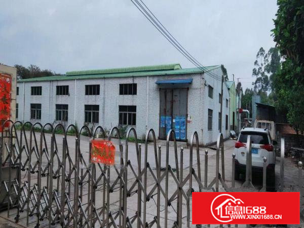 东莞桥头镇新出独门独院单一层厂房1300平方出租