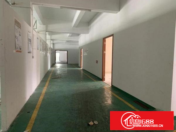 大康1300平方三楼厂房带装修出租现成眼镜厂