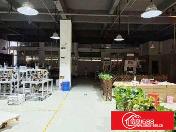 大岭山杨屋精装修一楼6米高850平可办环评