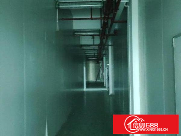 凤凰立交旁边，价格优惠可分租