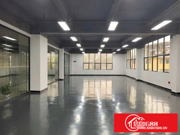 小95平起分靠近罗湖精装写字楼火爆招商面积14层6000平