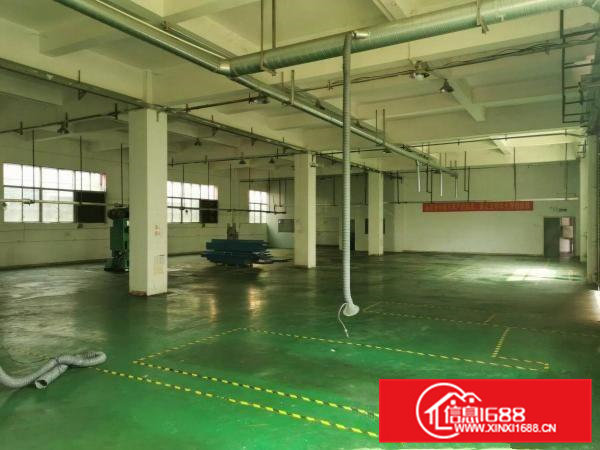 横沥西城三区原房东小独院厂房出租5000平方交通方便易招工