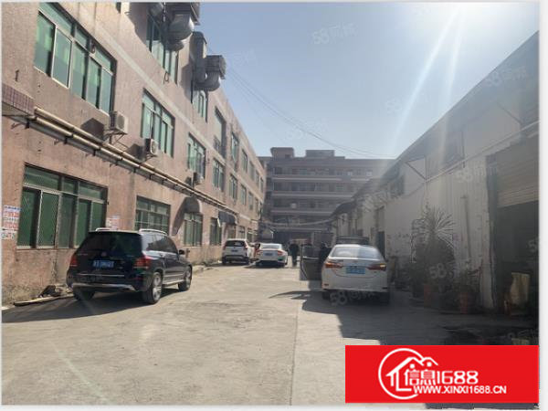 塘厦横塘新出1600平方标准厂房出租，位置佳人气旺