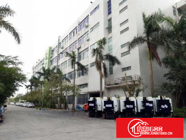 坪山竹坑大工业区原房东厂房一楼3800平米