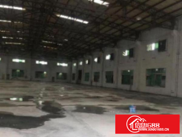 万江环城路边工业地小享新出单一层钢构厂房1200平方出租