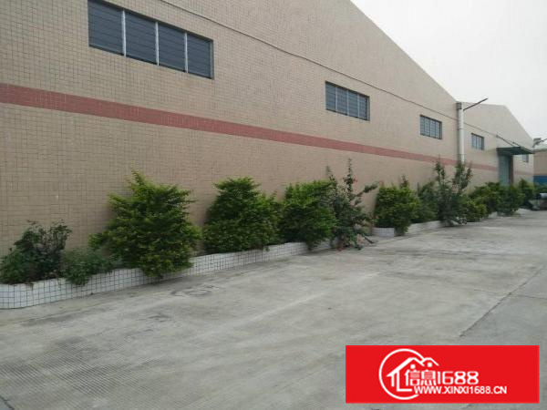 博罗园洲新出原房东独院单一层砖墙到顶