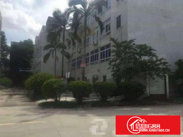 横坑新出二楼整层1200平方10元放租价格还可再谈