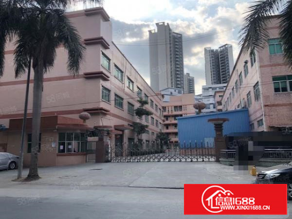 塘厦沙湖新出原房东独院6800平厂房仓库出租,形象好空地大