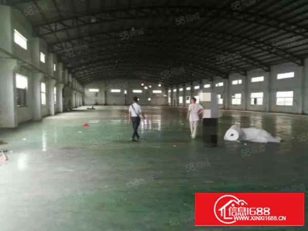 寮步上屯海关8米高单一层钢构厂房出租，共2000平方，房东急