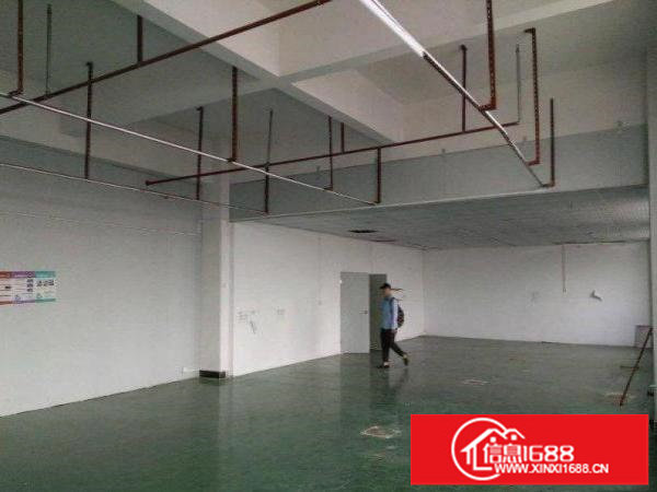 龙岗区嶂背新空出一楼400平方厂房出租精装修带地坪漆