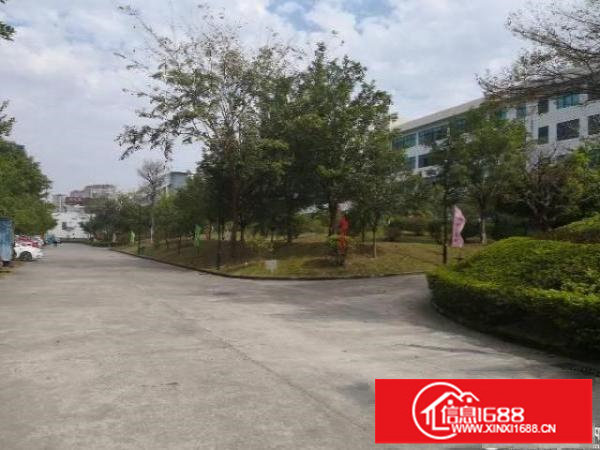 政府补贴，龙岗宝龙工业区楼上1550平方出租