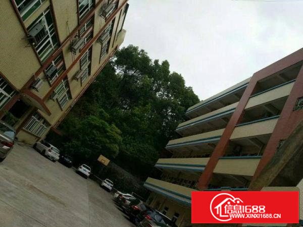 凤岗独院厂房出租，共6000平方，适合各种行业！