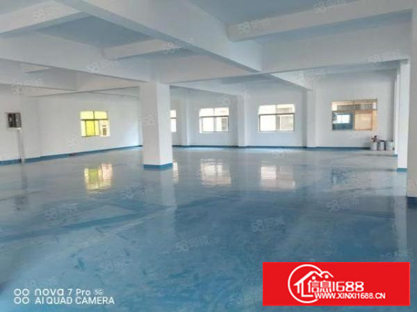 出租，长安上沙原房东中南广场单层面积660平