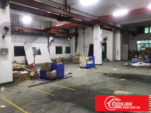 龙见田新出一楼标准厂房200平，可办环评