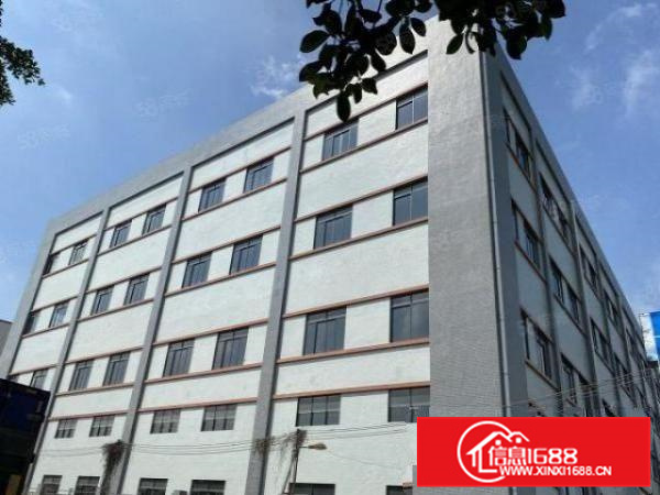 近佛山一环，全新，顺德杏坛18000平方标准厂房出租