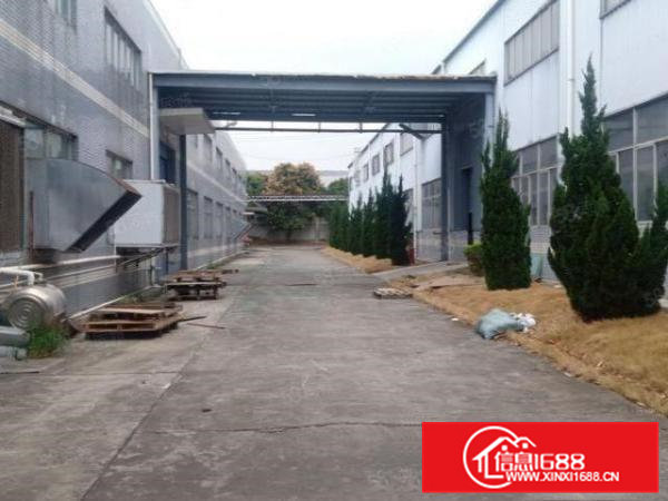 大岭山新出独院钢构6万平出租，滴水9米带卸货平台，大小可分租