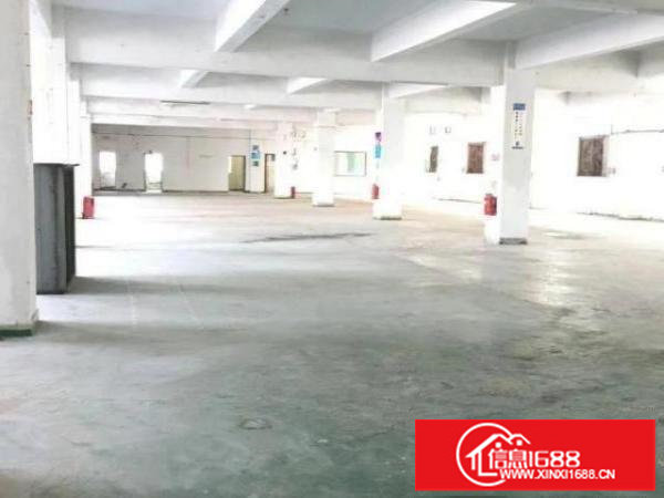 布吉康桥1000平厂房出租，物流配送，画框加工等