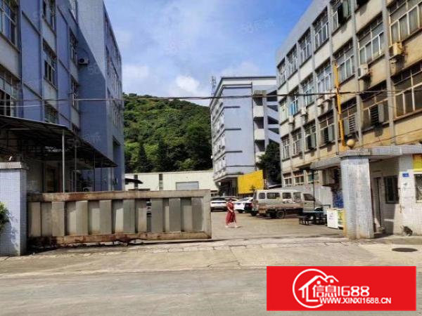 寮步横坑招租标准独院厂房一楼500平方，位置好，交通方便！