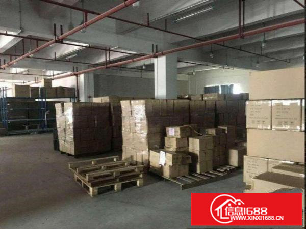 出租龙岗区坪地新出一楼700平方