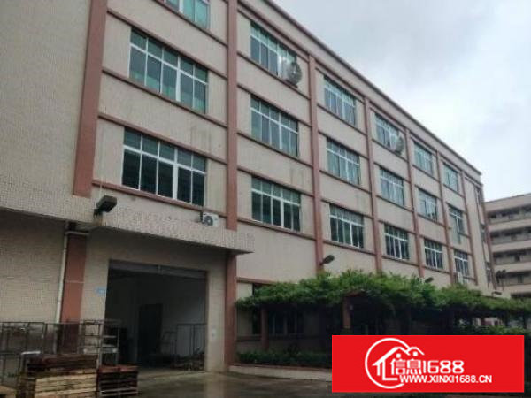 横岗大康新出46000平原房东独院厂房出租空地大