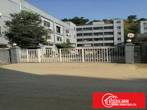 凤岗靠山边带装修独院厂房6200平方火爆招租