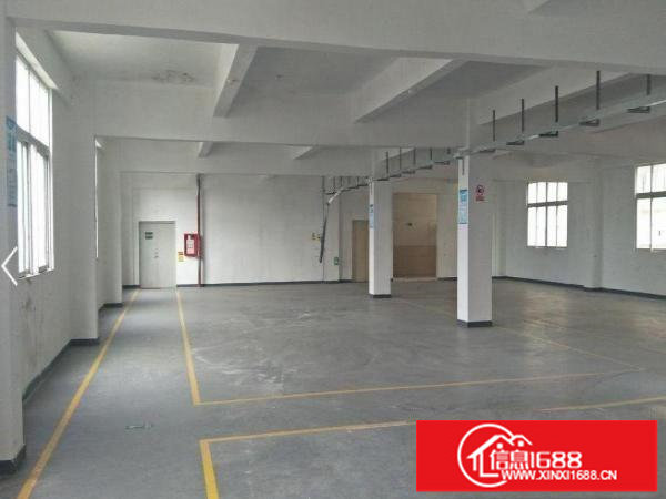 新桥新出550楼上带装修厂房面积实在公摊小