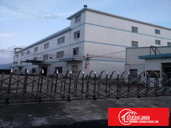 高埗标准一楼厂房700或1000㎡出租进出大货车，适合各行业