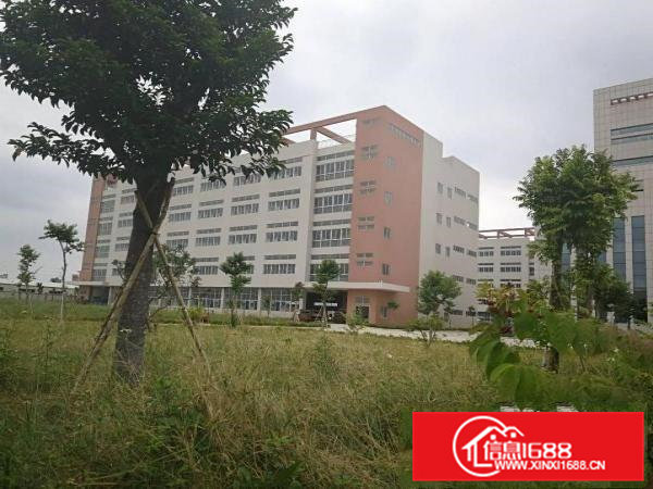 桥头镇岭头村标准二楼1000平方出租