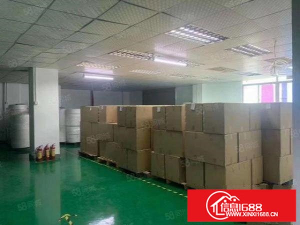 松岗洪桥头靠近107国道边上新出原房东带精装修办公室900平