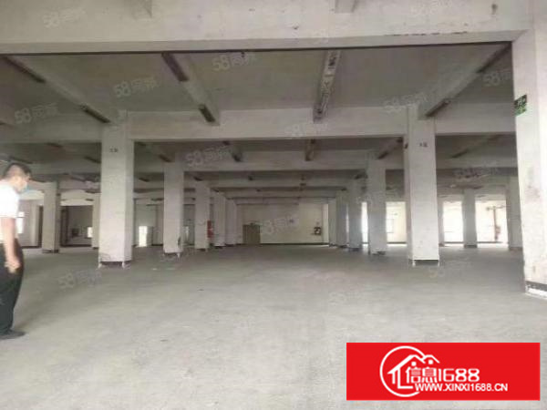 万江新出标准厂房1出租