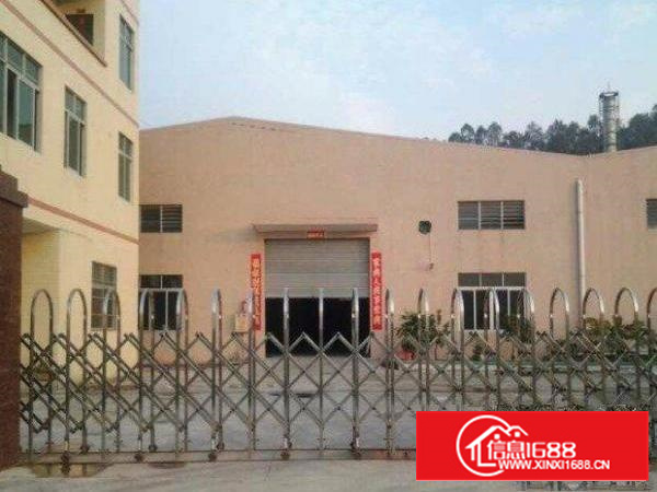 万江万江周边现有独院钢构厂房分租1000平方出租