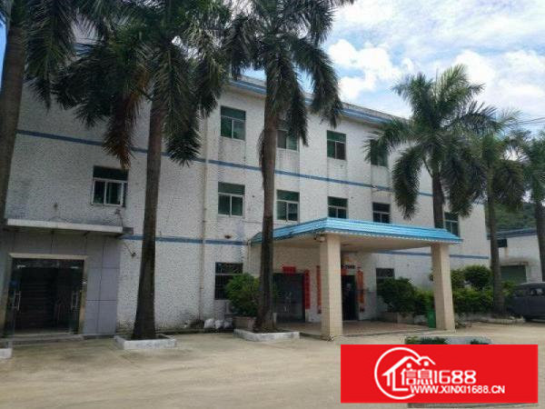 碧岭工业区飞发路新出楼上500平米精装修厂房出租