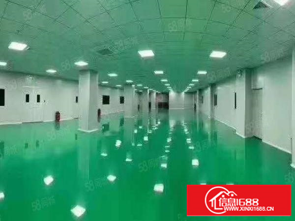 石排镇国有双证花园式独门独院厂房出租总面积12580平方