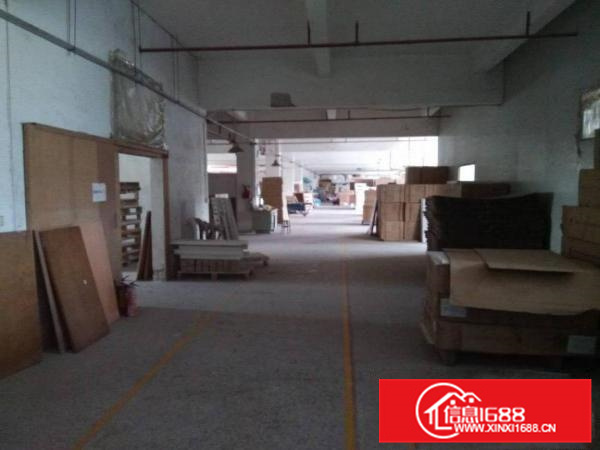 惠州秋长新出标准厂房(二楼)1000平方，精装修