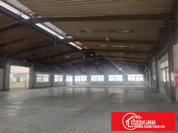 民治新岀一楼厂房3100平可分租，位置好交通便利