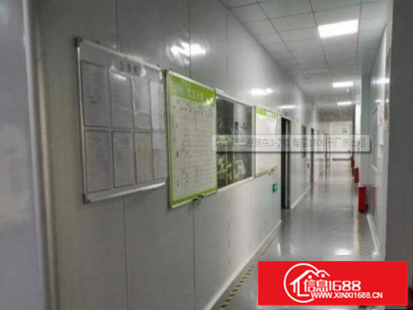 坪山新出原房东37楼每层1800平厂房出租