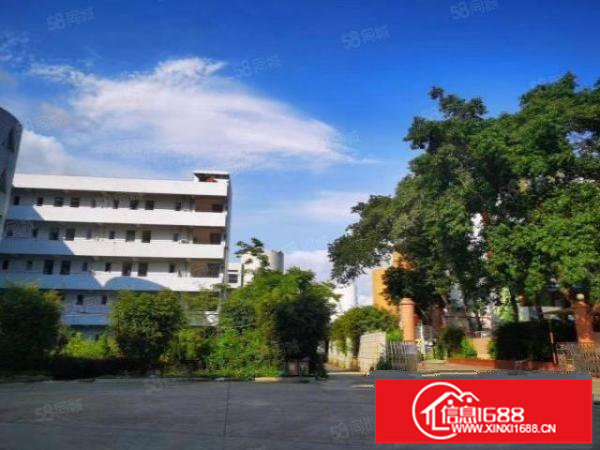 南湾独院花园原房东特价厂房出租