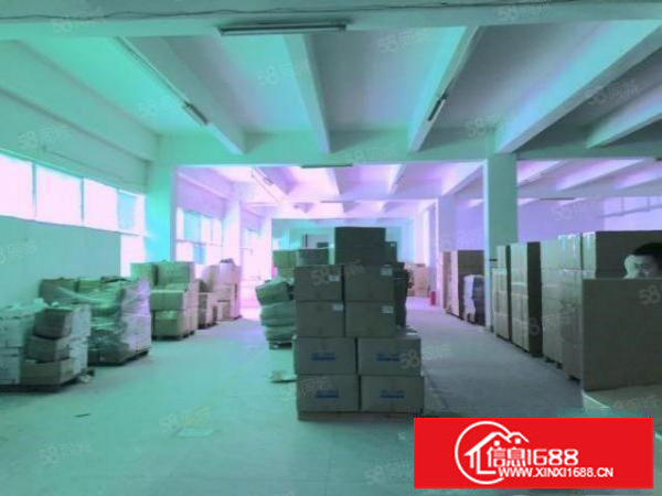 龙华500平厂房结构方正，实用率高