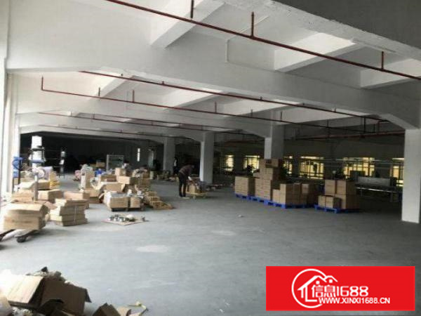 惠阳新墟工业园楼上900平米两吨货梯正件齐全